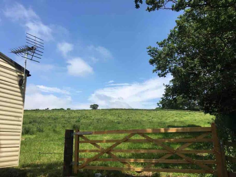 Park Gate, Colyton, Farm,Near Beaches-'Annie' Kültér fotó